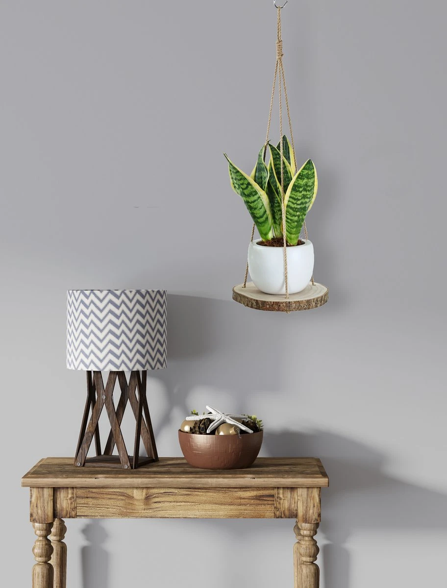 Set Van 2 Boomstam Rond Wandrek Plantenhangers - Boho Jute Houten Plantenrek - Hangpot Voor Binnen/Buiten - Hangende Bloempot Plank - Hangplant Houder - Bohemian Macrame Stijl Wandhanger - Hangplank Plant Hanger - Planthanger - Ø Rond 25-20cm 9 Set Van 2 Boomstam Rond Wandrek Plantenhangers - Boho Jute Houten Plantenrek - Hangpot Voor Binnen/Buiten - Hangende Bloempot Plank - Hangplant Houder - Bohemian Macrame Stijl Wandhanger - Hangplank Plant Hanger - Planthanger - Ø Rond 25-20cm - Afbeelding 9