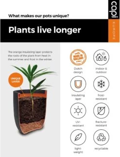 Capi Europe - Bloempot Bol Smooth NL - 35x34 - Zwart - Voor Binnen En Buiten - KBL932 21 Capi Europe - Bloempot Bol Smooth NL - 35x34 - Zwart - Voor Binnen En Buiten - KBL932 -Tuinwinkel Voor Buitenartikelen 917x1200 1