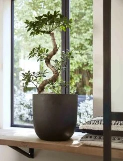 Capi Europe - Bloempot Bol Smooth NL - 35x34 - Zwart - Voor Binnen En Buiten - KBL932 17 Capi Europe - Bloempot Bol Smooth NL - 35x34 - Zwart - Voor Binnen En Buiten - KBL932 -Tuinwinkel Voor Buitenartikelen 923x1200 1