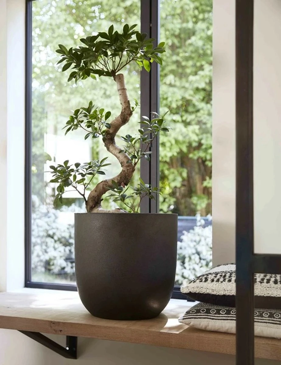 Capi Europe - Bloempot Bol Smooth NL - 35x34 - Zwart - Voor Binnen En Buiten - KBL932 3 Capi Europe - Bloempot Bol Smooth NL - 35x34 - Zwart - Voor Binnen En Buiten - KBL932 - Afbeelding 3