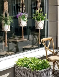 5 Stuks Jute Macrame Plantenhangers - Boho Handgeweven Katoen Hangpot Voor Binnen/Buiten - Hangende Bloempot Met Kralen - Macramé Touw/Koord Hangplant Houder - Bohemian Wandhanger Decoratie - Plant Hanger - Verticale Tuin Bloempothouder Planthanger 11 5 Stuks Jute Macrame Plantenhangers - Boho Handgeweven Katoen Hangpot Voor Binnen/Buiten - Hangende Bloempot Met Kralen - Macramé Touw/Koord Hangplant Houder - Bohemian Wandhanger Decoratie - Plant Hanger - Verticale Tuin Bloempothouder Planthanger -Tuinwinkel Voor Buitenartikelen 923x1200 9