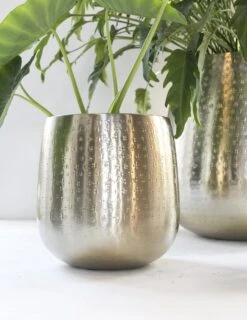 Gina Da - Bloempot - Karakter - Goud - Metaal - 15 Cm Hoog -Tuinwinkel Voor Buitenartikelen 926x1200 5