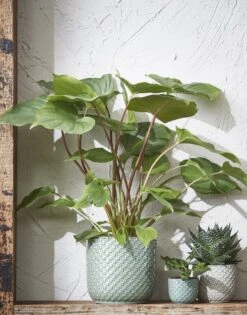 Mica Decorations Daan Bloempot - H17,5 X Ø19 Cm - Groen 11 Mica Decorations Daan Bloempot - H17,5 X Ø19 Cm - Groen -Tuinwinkel Voor Buitenartikelen 942x1200 3