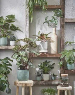 Mica Decorations Daan Bloempot - H17,5 X Ø19 Cm - Groen 9 Mica Decorations Daan Bloempot - H17,5 X Ø19 Cm - Groen -Tuinwinkel Voor Buitenartikelen 943x1200 2