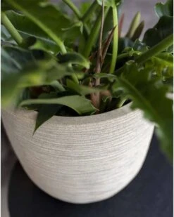 Capi Europe - Bloempot Bol Waste Rib NL - 43x41 - Terrazzo Beige - Voor Binnen En Buiten - KTBR933 16 Capi Europe - Bloempot Bol Waste Rib NL - 43x41 - Terrazzo Beige - Voor Binnen En Buiten - KTBR933 -Tuinwinkel Voor Buitenartikelen 960x1200 16