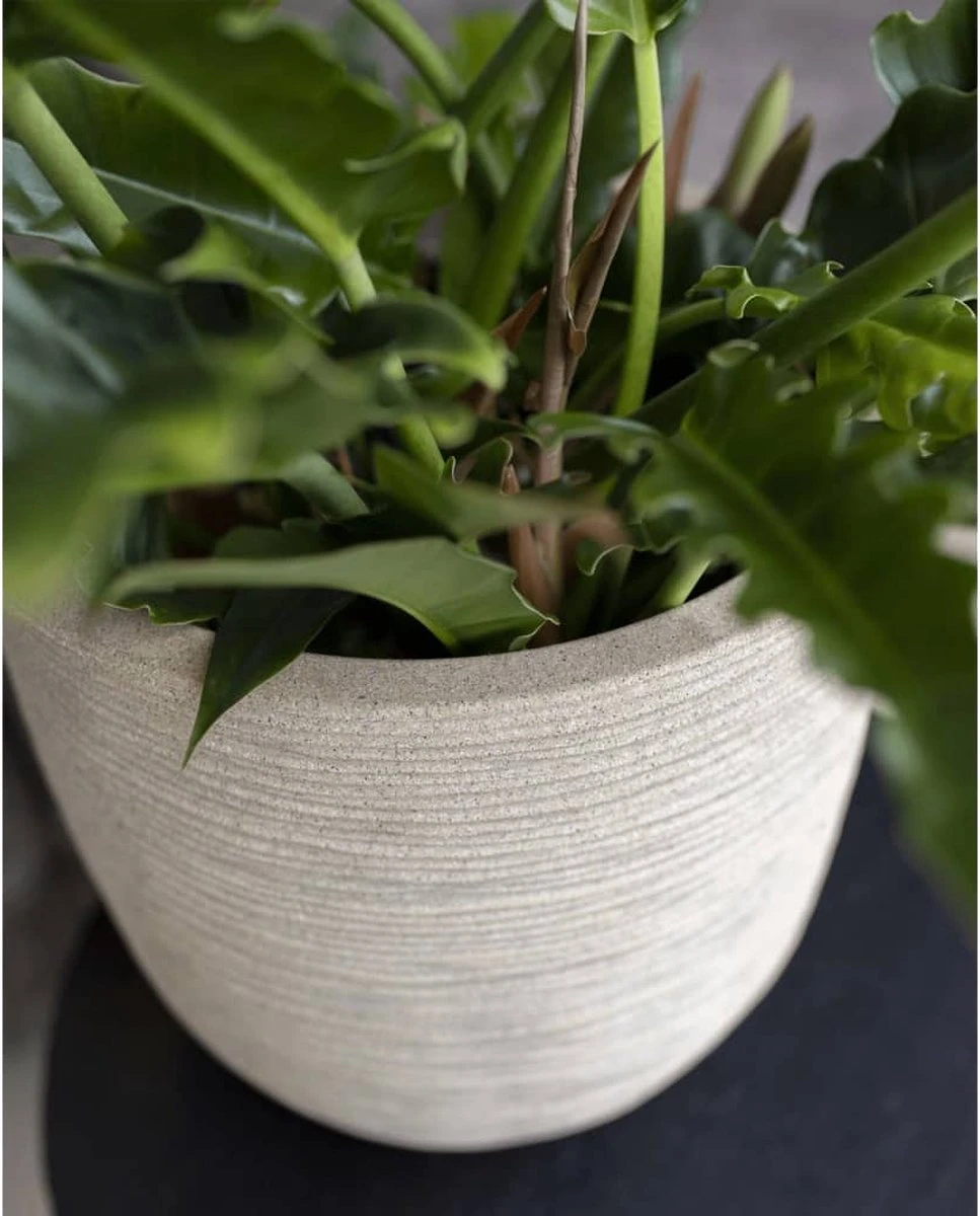 Capi Europe - Bloempot Bol Waste Rib NL - 35x34 - Terrazzo Beige - Voor Binnen En Buiten - KTBR932 6 Capi Europe - Bloempot Bol Waste Rib NL - 35x34 - Terrazzo Beige - Voor Binnen En Buiten - KTBR932 - Afbeelding 6