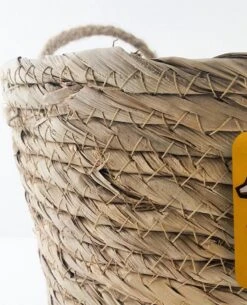 Merkloos Plantenhanger 18x15cm Naturel | Hangende Mand | Handgemaakt | Planten-houder / Hang-plant | Planten Accessoires | Hangmand 8 Merkloos Plantenhanger 18x15cm Naturel | Hangende Mand | Handgemaakt | Planten-houder / Hang-plant | Planten Accessoires | Hangmand -Tuinwinkel Voor Buitenartikelen 971x1200 1