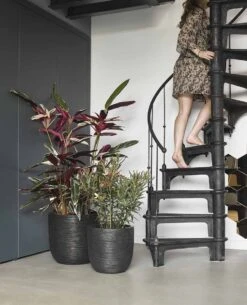 Capi Europe - Bloempot Bol Rib NL - 35x34 - Zwart - Voor Binnen En Buiten - KBLR932 22 Capi Europe - Bloempot Bol Rib NL - 35x34 - Zwart - Voor Binnen En Buiten - KBLR932 -Tuinwinkel Voor Buitenartikelen 972x1200 1