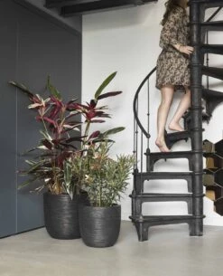 Capi Europe - Bloempot Bol Rib NL - 54x52 - Zwart - Voor Binnen En Buiten - KBLR935 19 Capi Europe - Bloempot Bol Rib NL - 54x52 - Zwart - Voor Binnen En Buiten - KBLR935 -Tuinwinkel Voor Buitenartikelen 972x1200 2