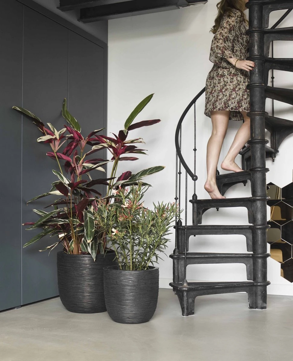 Capi Europe - Bloempot Bol Rib NL - 54x52 - Zwart - Voor Binnen En Buiten - KBLR935 10 Capi Europe - Bloempot Bol Rib NL - 54x52 - Zwart - Voor Binnen En Buiten - KBLR935 - Afbeelding 10