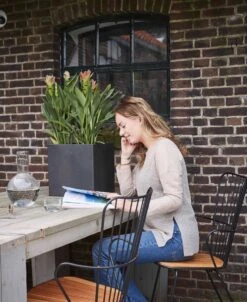 Capi Europe - Bloempot Vierkant Smooth NL - 50x50x50 - Zwart - Voor Binnen En Buiten - KBL904 24 Capi Europe - Bloempot Vierkant Smooth NL - 50x50x50 - Zwart - Voor Binnen En Buiten - KBL904 -Tuinwinkel Voor Buitenartikelen 983x1200 2