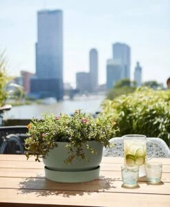 Elho Greenville Schaal 33 - Bloempot Voor Buiten - Ø 32.5 X H 19.4 Cm - Groen/Blad Groen 9 Elho Greenville Schaal 33 - Bloempot Voor Buiten - Ø 32.5 X H 19.4 Cm - Groen/Blad Groen -Tuinwinkel Voor Buitenartikelen 986x1200