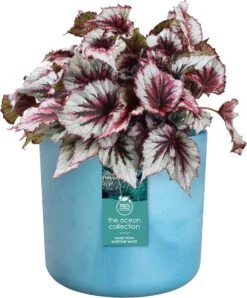 Elho The Ocean Collection Round 22cm - Bloempot Voor Binnen - 100% Gerecycled Materiaal - Gemaakt Met Zeeafval - Ø 22.3 X H 20.4 Cm - Atlantisch Blauw -Tuinwinkel Voor Buitenartikelen 995x1200 2